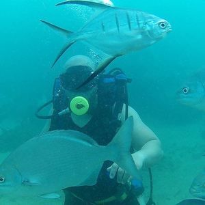 Meet your Posher, Edwin